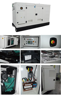 Grupo electrógeno silencioso de 6,25 KVA con disyuntor Delixi y 8 horas de autonomía a plena carga para un suministro de energía ultrasilencioso